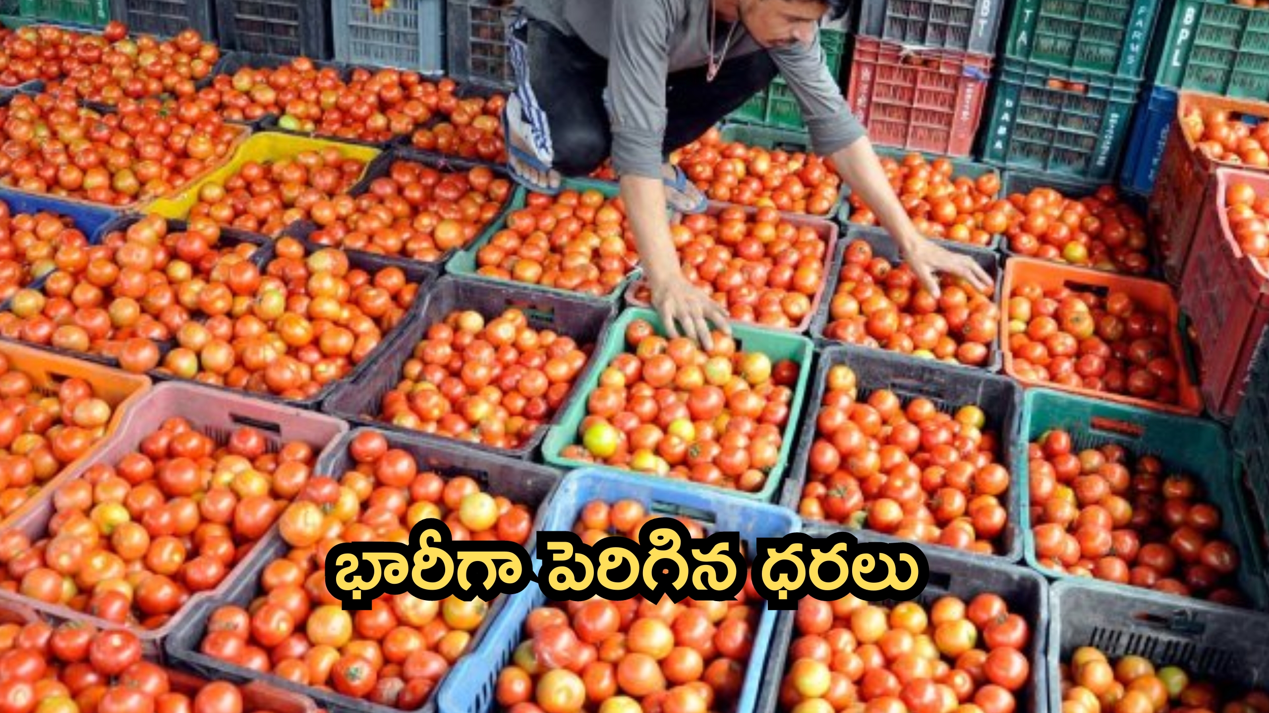 Vegetable Prices: సామాన్యుడిపై మరో భారం.. సెంచరీ చేరువలో ఉల్లి, టమాట