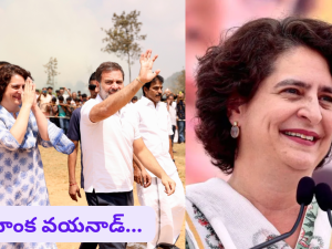 Priyanka Gandhi at Wayanad : అన్న స్థానం చెల్లెలికి.. వయనాడ్ కాంగ్రెస్ అభ్యర్థిగా ప్రియాంకా గాంధీ ఖరారు