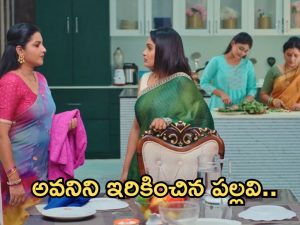 Intinti Ramayanam Today Episode : ఇంట్లో ఫంక్షన్ ను చెడగొట్టాలని పల్లవి ప్లాన్.. అవనిని ఇరికించిన పల్లవి..