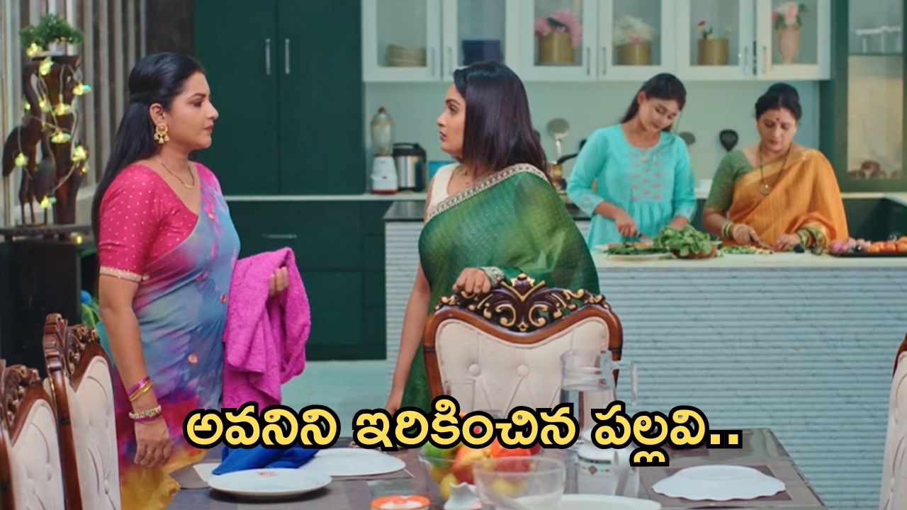 Intinti Ramayanam Today Episode : ఇంట్లో ఫంక్షన్ ను చెడగొట్టాలని పల్లవి ప్లాన్.. అవనిని ఇరికించిన పల్లవి..