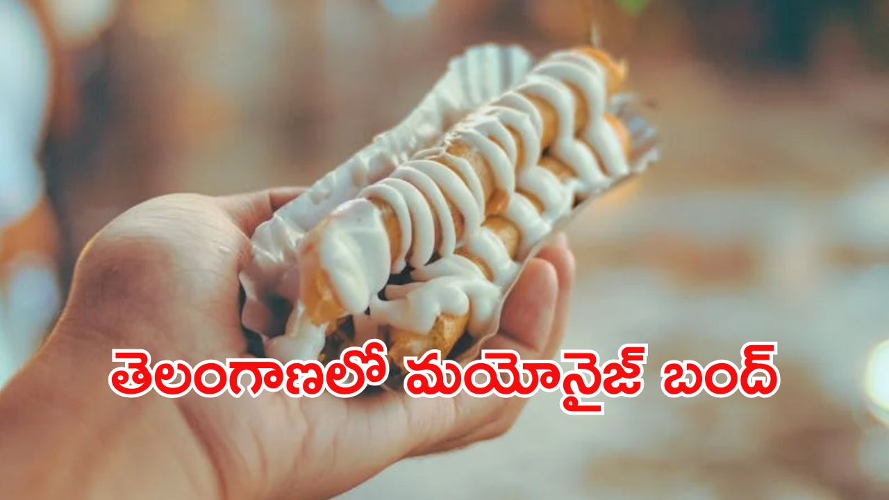 Mayonnaise Ban : మాయదారి మయోనైజ్.. తింటే అంతే సంగతులు, రాష్ట్రంలో నిషేధం