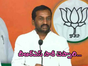 Mp Raghunandan : అక్కకు జరిగిన అవమానం అది.. వకీలుగా తమ్ముడు కోర్టుకు ఈడుస్తాడు : ఎంపీ రఘునందన్‌