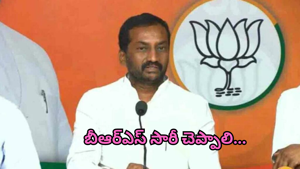 Mp Raghunandan : అక్కకు జరిగిన అవమానం అది.. వకీలుగా తమ్ముడు కోర్టుకు ఈడుస్తాడు : ఎంపీ రఘునందన్‌