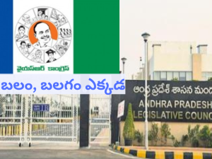 Ysrcp Seats : చట్టసభల్లో వైసీపీ బలమెంత… ఇప్పటికీ జగన్ దే హవానా ?