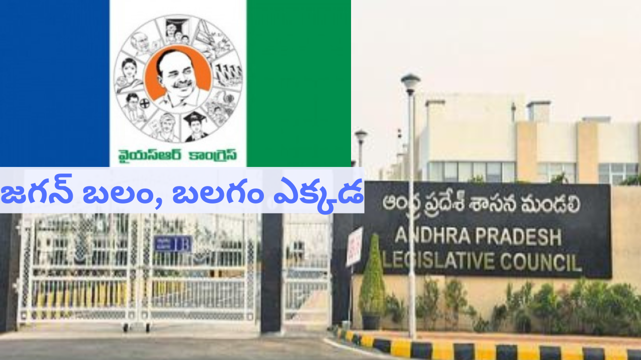 Ysrcp Seats : చట్టసభల్లో వైసీపీ బలమెంత… ఇప్పటికీ జగన్‌దే పైచేయా?