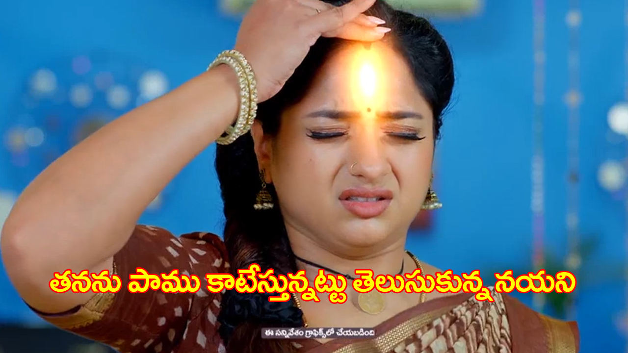 Trinayani Serial Today November 1st: ‘త్రినయని’ సీరియల్‌:   తనను పాము కాటేస్తున్నట్లు తెలుసుకున్న నయని – విక్రాంత్‌ ను కొట్టిన తిలొత్తమ్మ