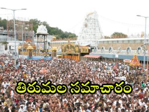 Tirumala: శ్రీవారి భక్తులకు గుడ్ న్యూస్.. స్వామివారి కానుకలు పొందే అవకాశం మీకోసం.. సర్వదర్శనానికి ఎన్ని గంటల సమయమంటే?