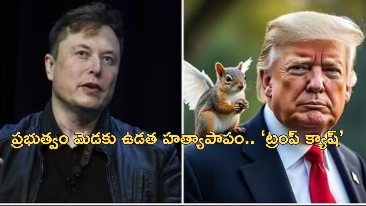 Peanut Squirrel: ఇన్‌స్టాగ్రామ్‌లో లక్షల ఫాలోవర్స్ ఉన్న ఉడత.. అమెరికాలో కమలా హ్యారిస్‌కు డేంజర్