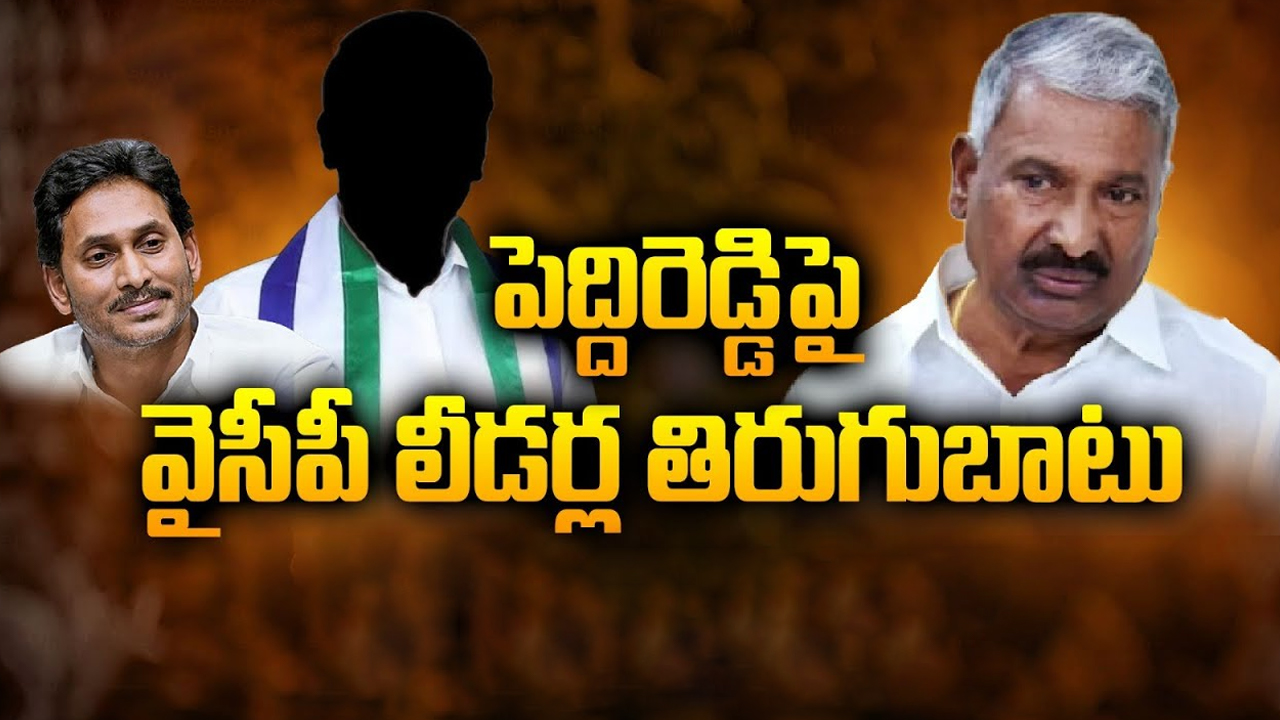 Peddireddy Ramachandra Reddy: పెద్ది రెడ్డిపై వైసీపీ లీడర్ల తిరుగుబాటు.. షాక్ తప్పదా..?