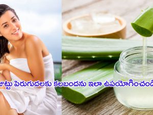 Aloe Vera Hair Mask: కలబంద హెయిర్ సీరమ్‌తో కురుల సిరులను పెంచుకోండి!