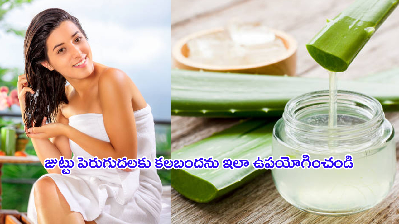 Aloe Vera Hair Mask: కలబంద హెయిర్ సీరమ్‌తో కురుల సిరులను పెంచుకోండి!