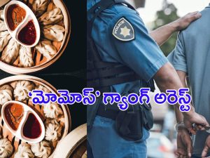 Momos: కల్తీ మోమోస్ తయారు చేసిన.. బీహార్‌ గ్యాంగ్‌ అరెస్ఠ్..!