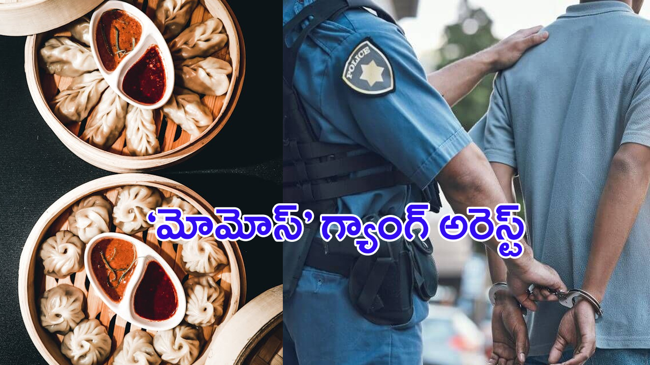 Momos Issue: కల్తీ మోమోస్ తయారు చేసిన.. బీహార్‌ గ్యాంగ్‌ అరెస్ఠ్..!