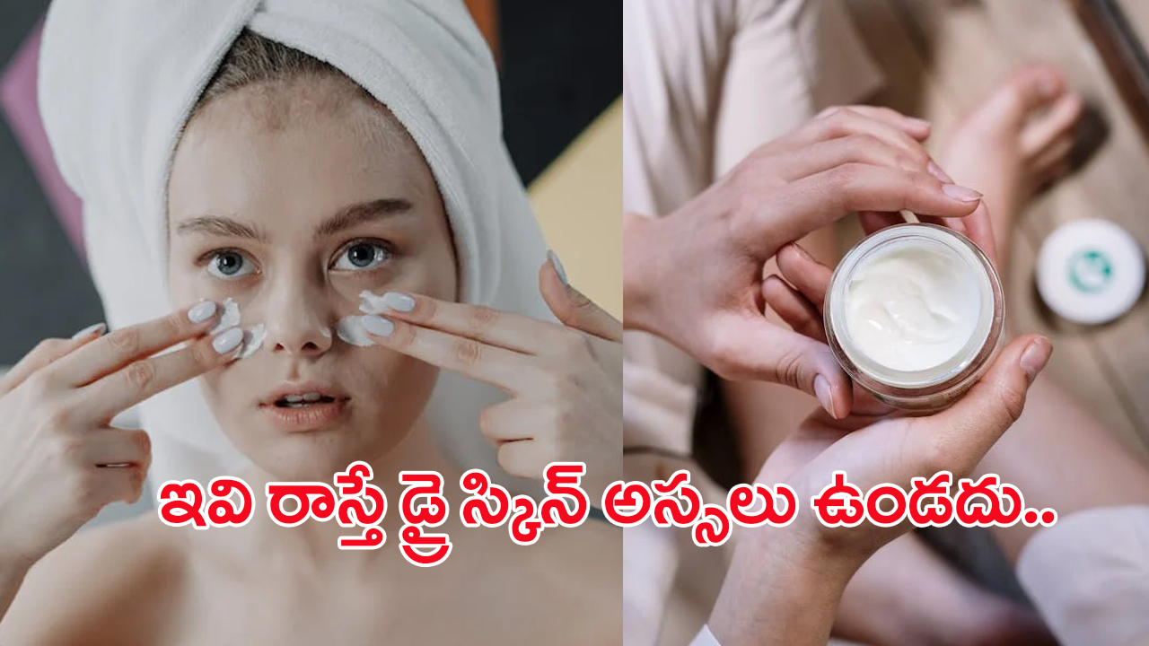 Winter Skin Care Tips: చలికాలంలో చర్మం పొడిబారిపోతుందా? అయితే ఈ ఫేస్ ప్యాక్‌లు ట్రై చేయండి..