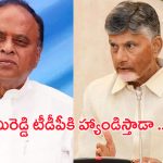 Vemireddy Prabhakar Reddy: నన్నే అవమానిస్తారా.. వేమిరెడ్డి టీటీపీకి హ్యాండ్ ఇస్తాడా..?