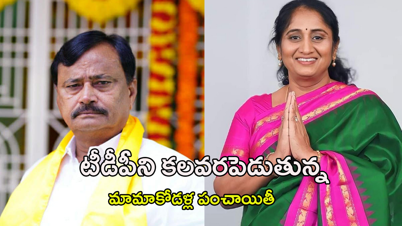 Penukonda Politics: చంద్రబాబుకి తలనొప్పిగా మామా కోడళ్ల పంచాయితీ