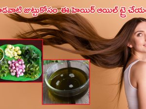 Homemade Hair Oil: అందమైన పొడవాటి జుట్టుకోసం.. ఈ స్పెషల్ హెయిర్ ఆయిల్‌ను ట్రై చేయండి..