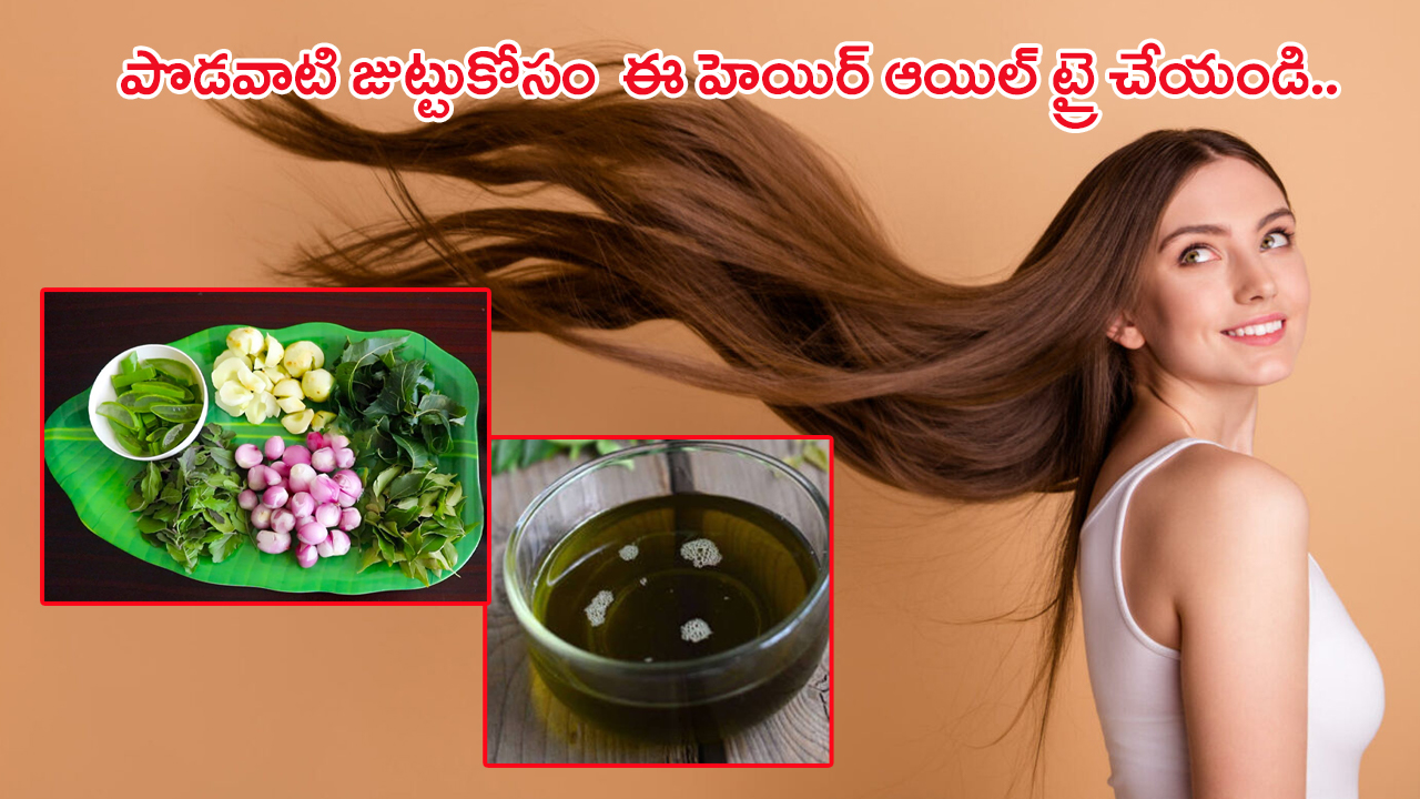 Homemade Hair Oil: అందమైన పొడవాటి జుట్టుకోసం.. ఈ స్పెషల్ హెయిర్ ఆయిల్‌ను ట్రై చేయండి..