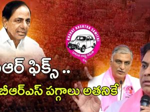 BRS Party Future President: కేసీఆర్ ఫిక్స్.. బీఆర్ఎస్ పగ్గాలు ఎవరికంటే..