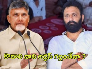 TDP vs Kodali Nani: టీడీపీ స్కెచ్.. గుడివాడలో కొడాలి నాని అడ్రస్ గల్లంతేనా?