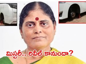 Ys Vijayamma : విజయమ్మపై జగన్ కుట్ర? ఆధారాలు బయటపెట్టిన టీడీపీ.. ఆ రోజు ఘటనపై ఎంక్వైరీ?