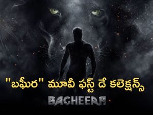 Bagheera Day 1 Collections : “బఘీర” ఫస్ట్ డే కలెక్షన్స్… కన్నడ సూపర్ హీరోకు ఆదరణ ఎలా ఉందంటే?