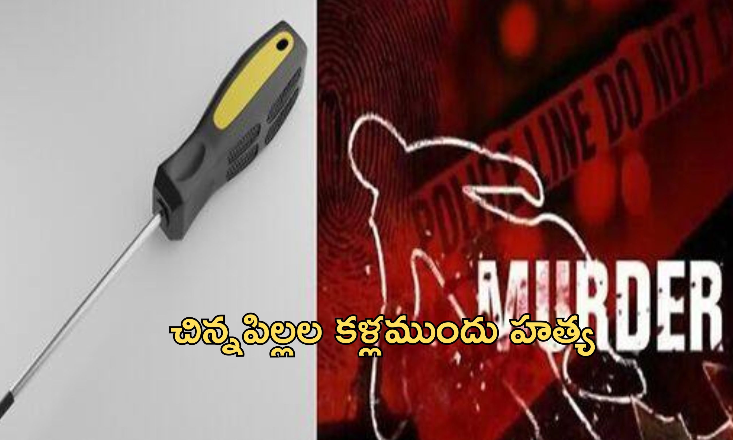 LiveIn Murder: స్కృడ్రైవర్‌తో పొడిచి పొడిచి హత్య.. భర్తను వదిలి బాయ్‌ఫ్రెండ్‌తో 4 పిల్లల తల్లి సహజీవనం