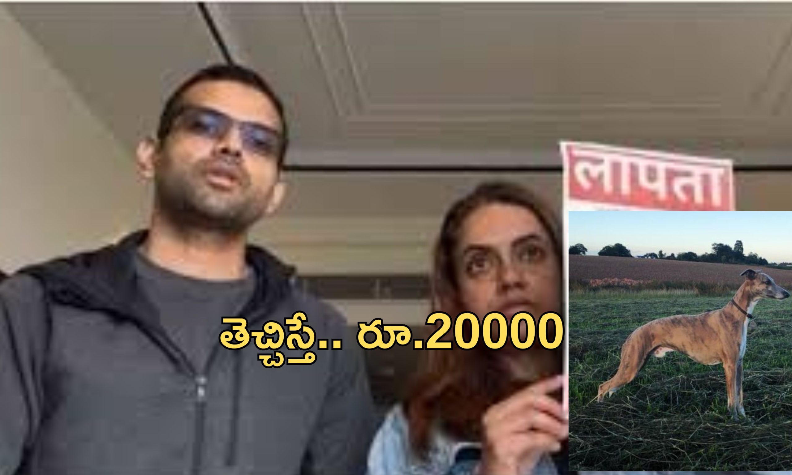 Missing Dog Reward: మేలైనజాతి కుక్క.. ఆచూకీ తెలిపితే రూ.20000.. వెతికిపెట్టండి ప్లీజ్!