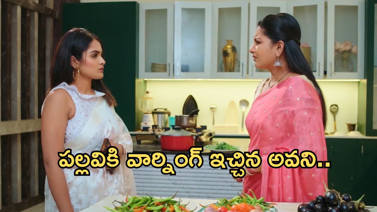 Intinti Ramayanam Today Episode : అవనికి సపోర్ట్ గా పార్వతి.. పల్లవికి సీరియస్ వార్నింగ్ ఇచ్చిన అవని..