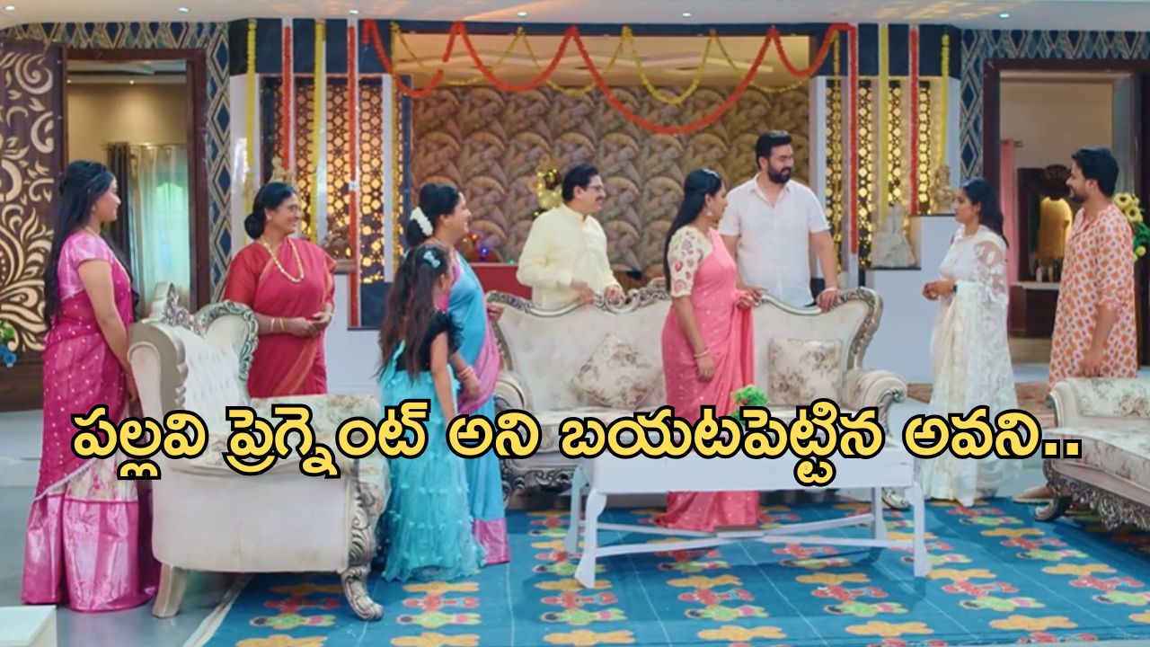 Intinti Ramayanam Today Episode : అవనికి సారీ చెప్పిన అక్షయ్.. పల్లవి ప్రెగ్నెంట్ అని ఇంట్లో అందరికి చెప్పిన అవని..