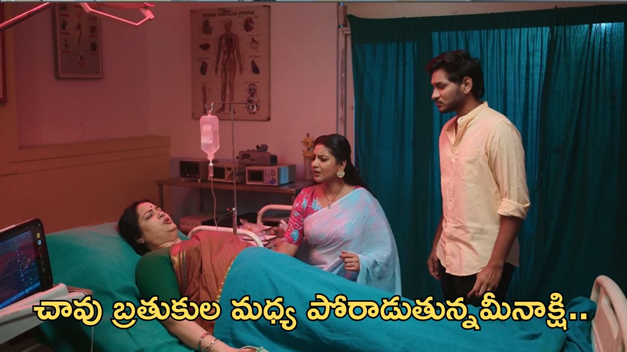 Intinti Ramayanam Today Episode : చావు అంచులవరకు వెళ్లిన మీనాక్షి.. చక్రధర్ గురించి నిజం చెప్తుందా?