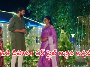 Intinti Ramayanam Today Episode : పల్లవి ప్రెగ్నెంట్ అని కన్ఫార్మ్ చేసిన డాక్టర్.. ఒక్కటైన అవని, అక్షయ్..