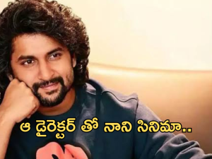 Nani : ఆ డైరెక్టర్ కు నాని మరో ఛాన్స్.. స్టోరీ లైన్ అదిరింది మామా..