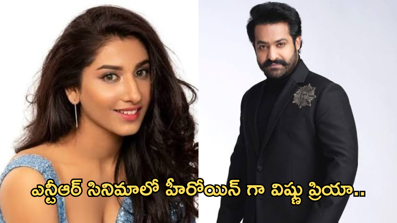 Bigg Boss Vishnu Priya : నిజమా .. ఎన్టీఆర్ సినిమాలో హీరోయిన్ గా విష్ణు ప్రియా.. కానీ ఒక ట్విస్ట్..