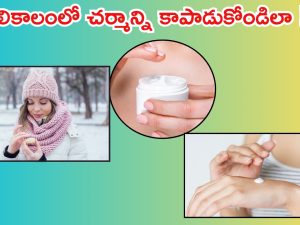 Winter Skin Care: చలికాలంలో స్కిన్ కేర్ తప్పనిసరి.. లేదంటే తిప్పలు తప్పవు