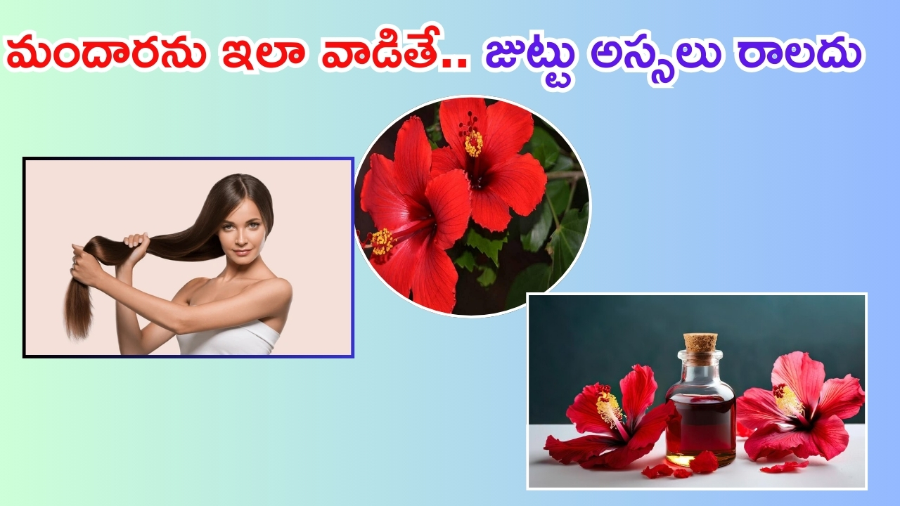 Hibiscus For Hair: మందారతో అద్భుతం.. ఇలా వాడితే జుట్టు ఊడమన్నా ఊడదు