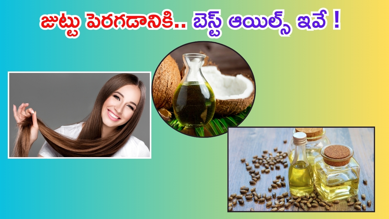 Long Hair Tips: వారానికి 2 సార్లు ఈ ఆయిల్స్ రాస్తే..  వద్దన్నా జుట్టు ఒత్తుగా పెరుగుతుంది తెలుసా ?