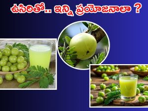 Amla Benefits: ఉసిరి తింటే ఇన్ని లాభాలా ?