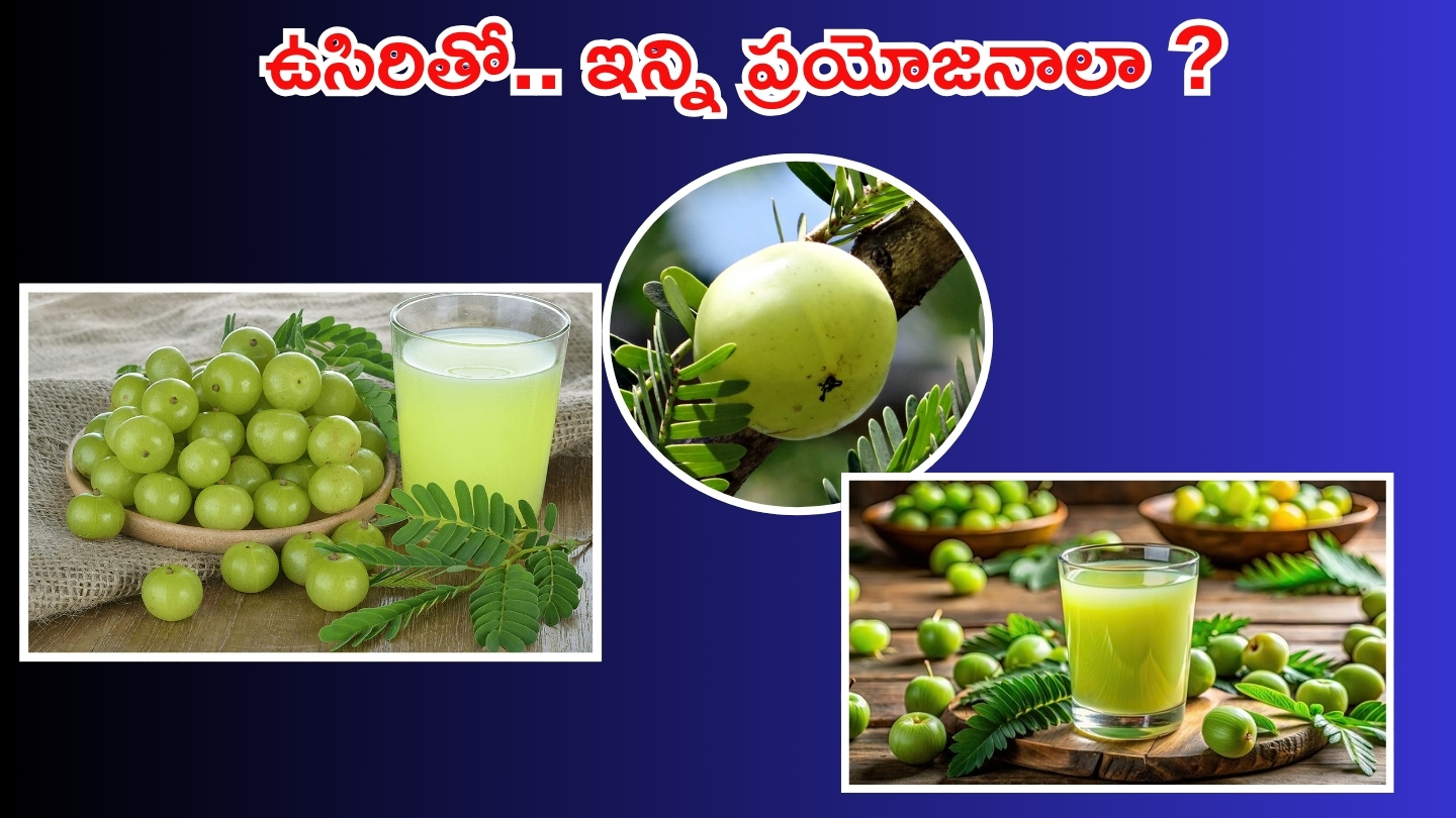 Amla Benefits: ఉసిరి తింటే ఇన్ని లాభాలా ?