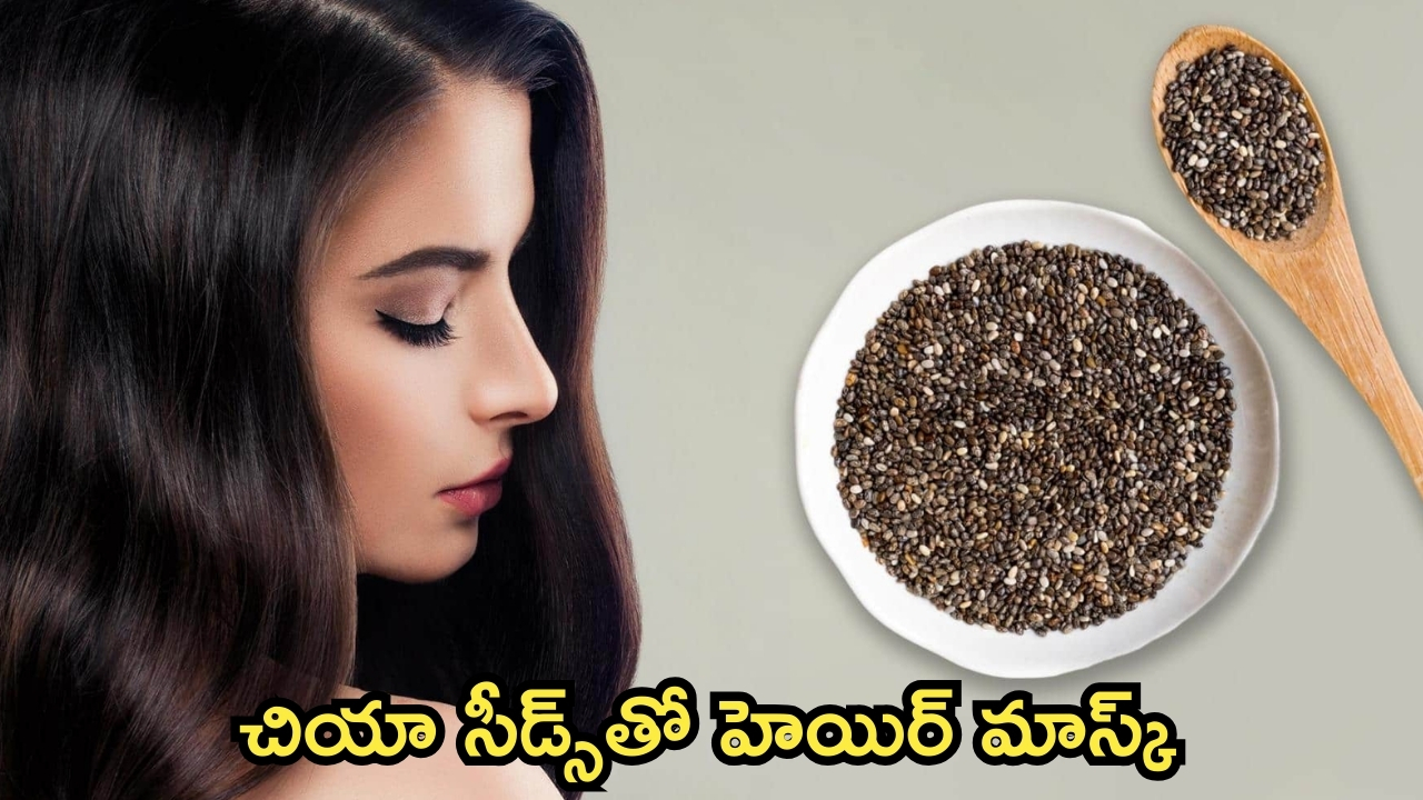 Chia Seeds Hair Mask: చియా సీడ్స్‌తో హెయిర్ మాస్క్.. ఒక్క సారి వాడారంటే రిజల్ట్ పక్కా